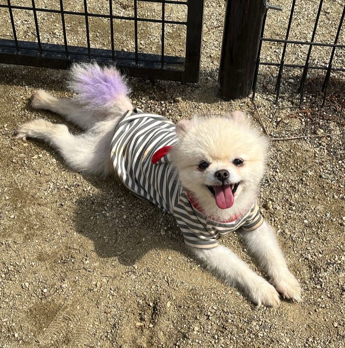 아산동물복지지원센터_444452202500514